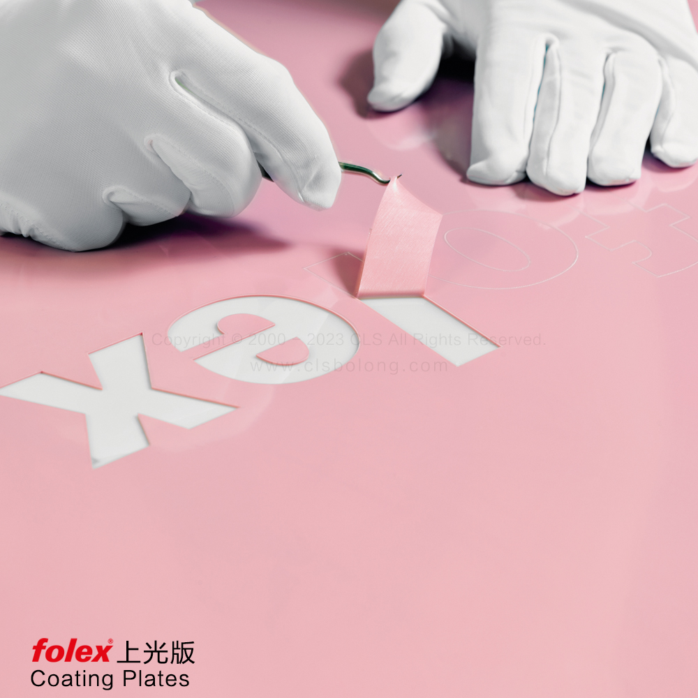 folex · 上光版